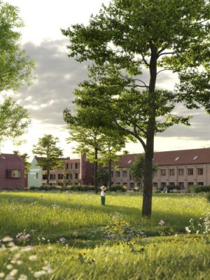 Project Haarsnijderij Lebbeke - Groene omgeving